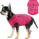 Personality-Packed Canine Attire: Soft, Lightweight Dog Clothes Featuring The Bold 'Little Miss Attitude' Slogan Print, Perfect for Small and Medium Dogs Rose Red Medium