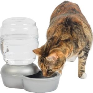 Petmate Replendish Automatic Gravity Waterer for Cats and Dogs, BPA-Free, No Batteries Required, Includes Charcoal Filter, 0.5 Gallon,Silver